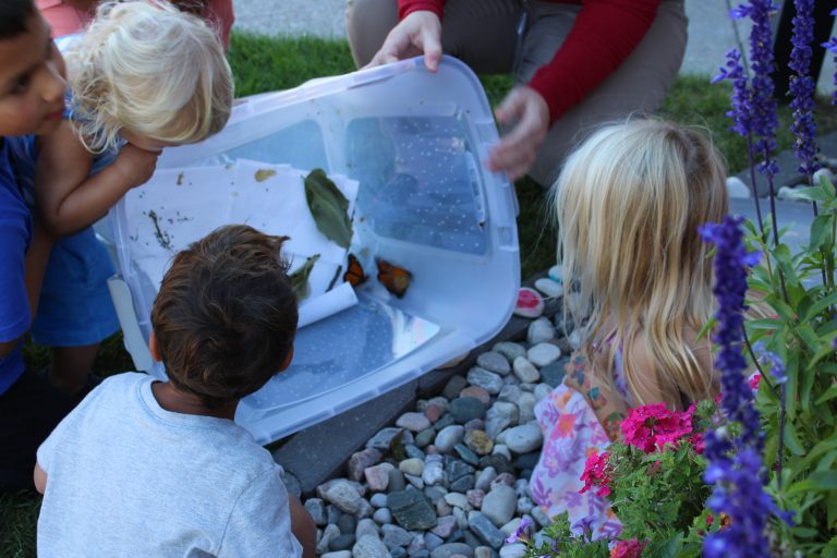 photo of butterfly release